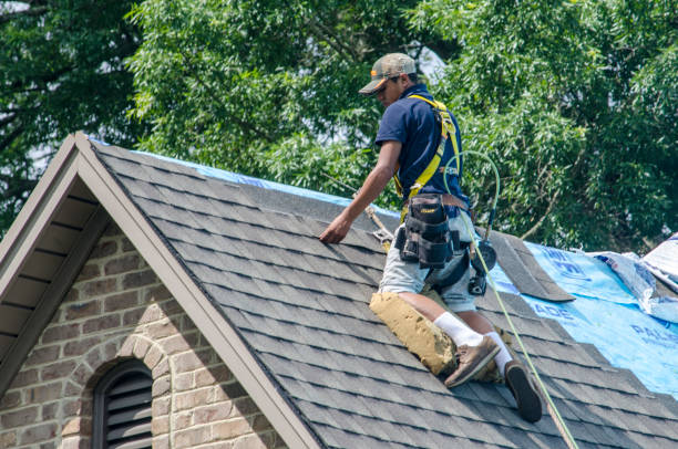 Best Gutter Installation and Roofing  in Rogersville, AL